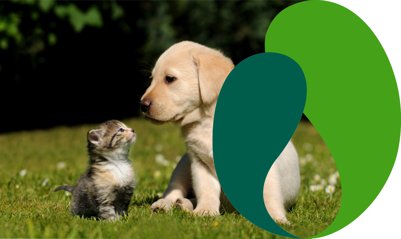 Lacto Production Production Dalimentation Animale A Montauban De Bretagne Pet2