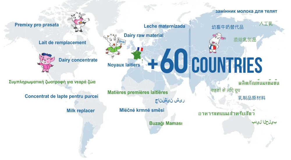 Lacto Production Production Dalimentation Animale A Montauban De Bretagne 2004